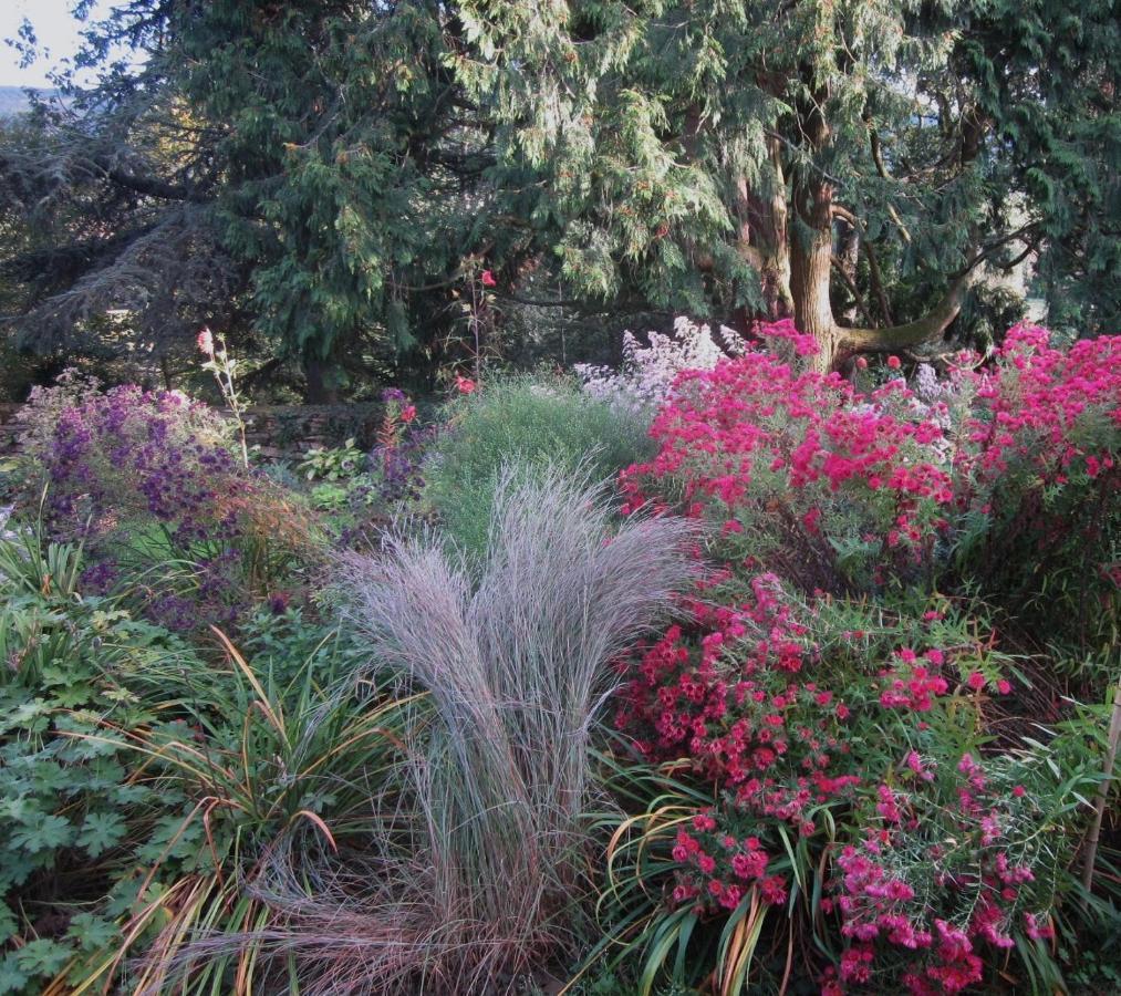 Clermain Le Manoir Sur La Roche, 74, Impasse Du Manoir, 71520 Navour Sur Grosne D121 Bed & Breakfast エクステリア 写真