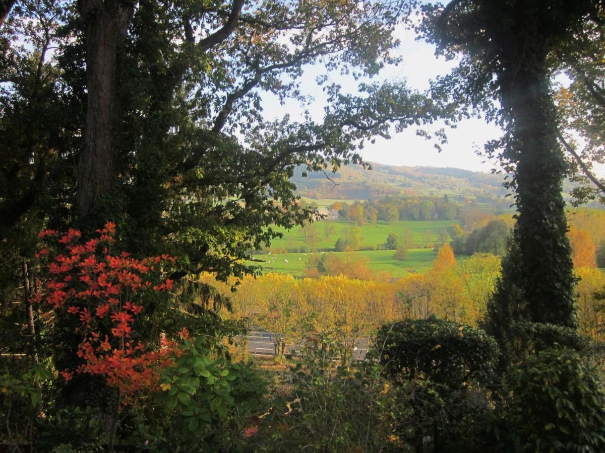 Clermain Le Manoir Sur La Roche, 74, Impasse Du Manoir, 71520 Navour Sur Grosne D121 Bed & Breakfast エクステリア 写真